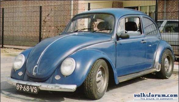 my bug1