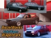 BIEZELWERKS VW-Custom's