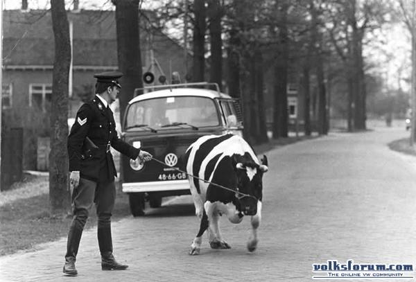 Uit het archief