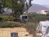 fotosvakantiekos2006252