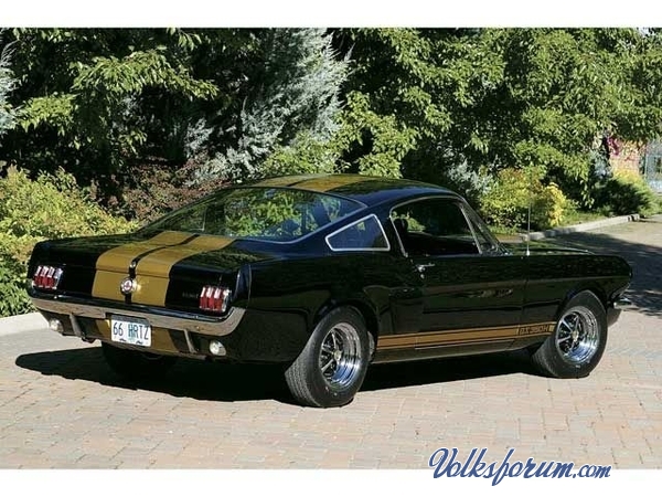 ford US