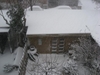 Winter2009b