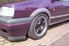 ronal velgen polo 2F