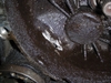 P9150173