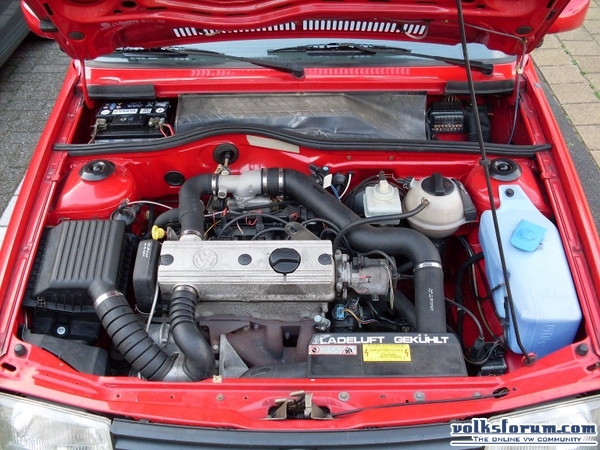 polo g40 rood