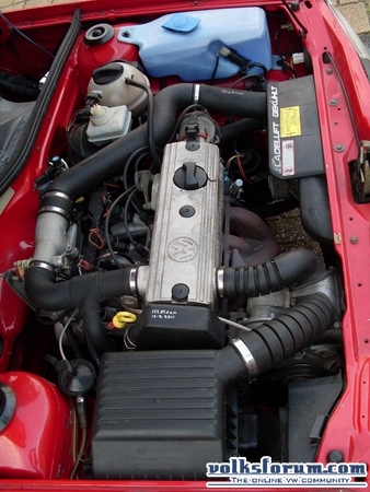 polo g40 rood