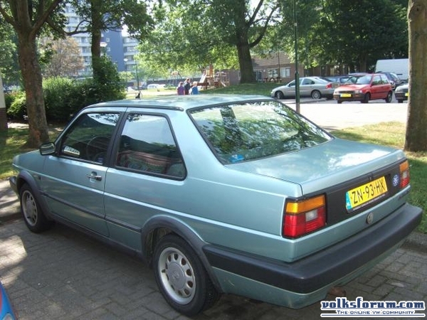 jetta