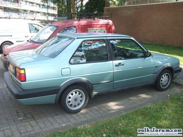 jetta