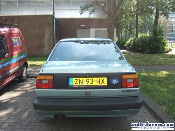 jetta