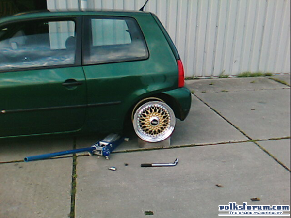 Lupo 16"