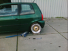 Lupo 16"