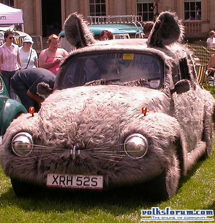 beetle-muis