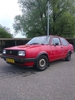 jetta