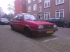 jetta
