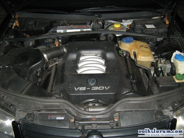 Passat V6
