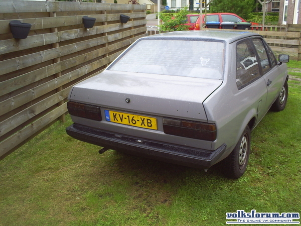 polo derby