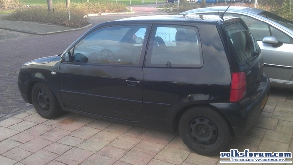Lupo