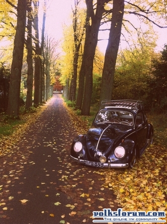 64 Schwarz low