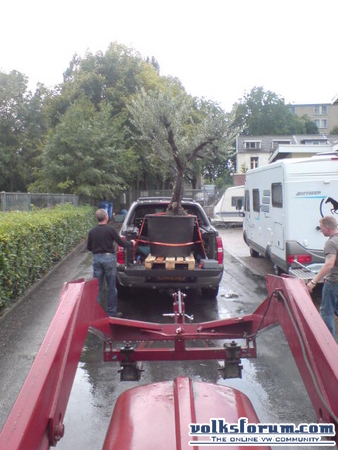 chevrolet avalanche met boompje