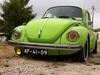 green bug