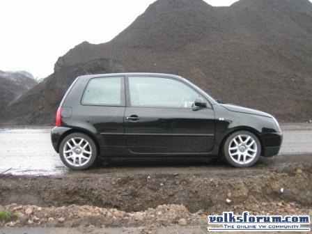 Lupo