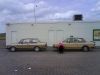 jetta