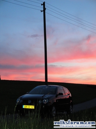 polo 9n