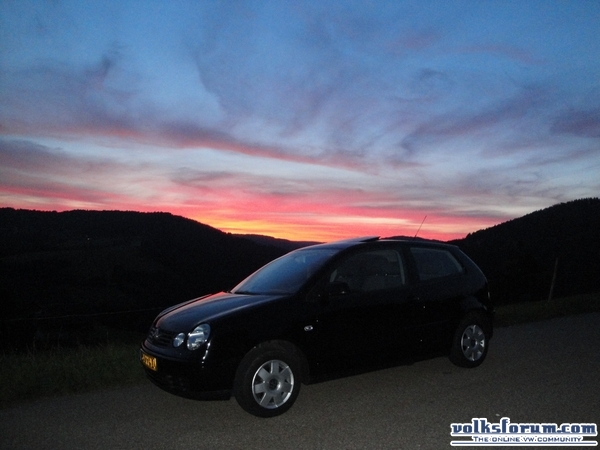 polo 9n
