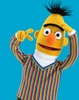1.bert