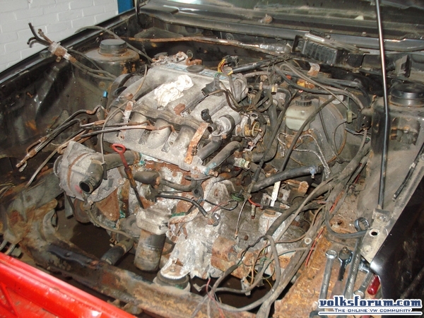 16v donor