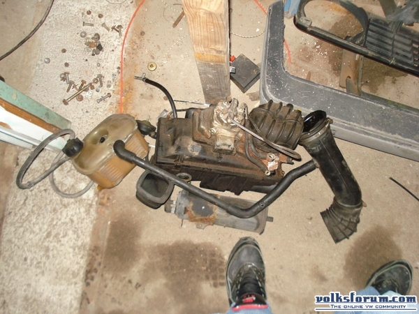 16v donor