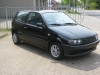 polo 6n