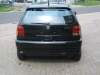 polo 6n