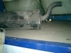 te koop
