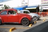 MY 2 BUGS