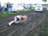 aircooled-folks