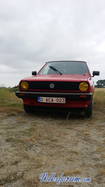 polo 86c