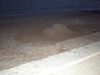 Zand Kever 