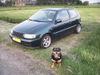 polow