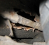 Roestprobleem1