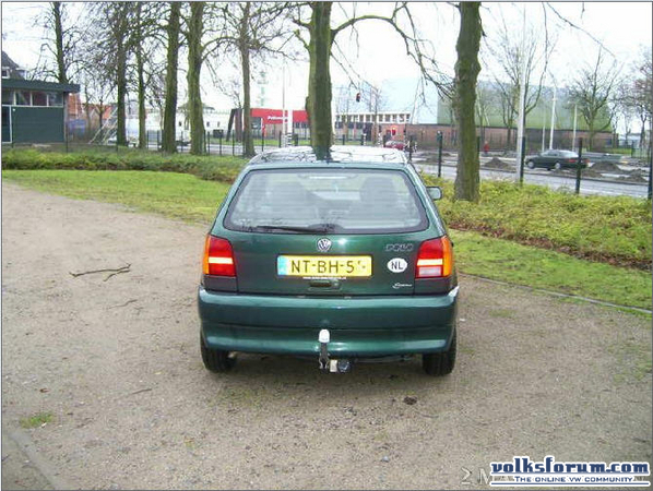 polo te koop