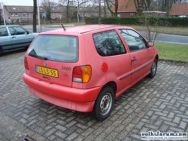 polo 6n te koop