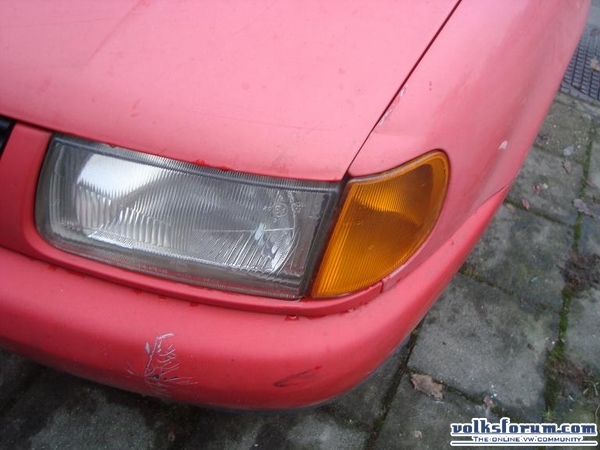 polo te koop