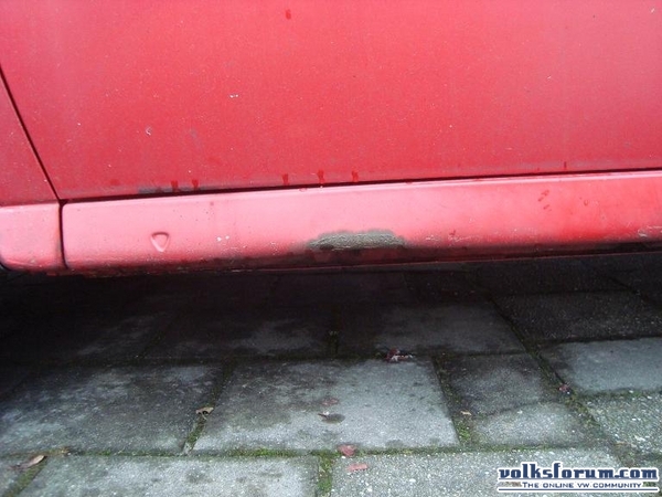polo te koop