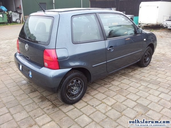 Lupo Belg