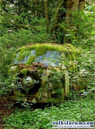 nature