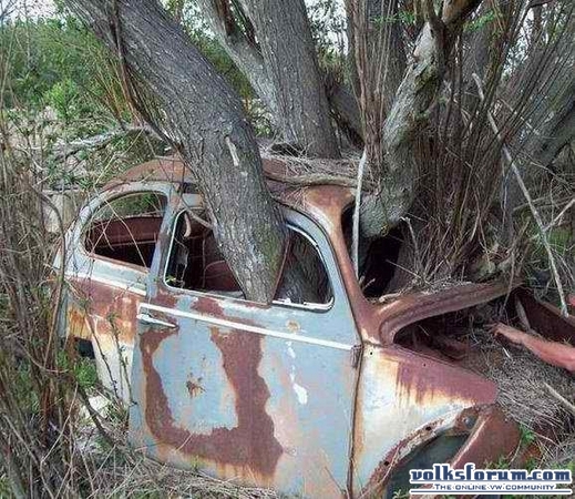 nature won't give this one back..