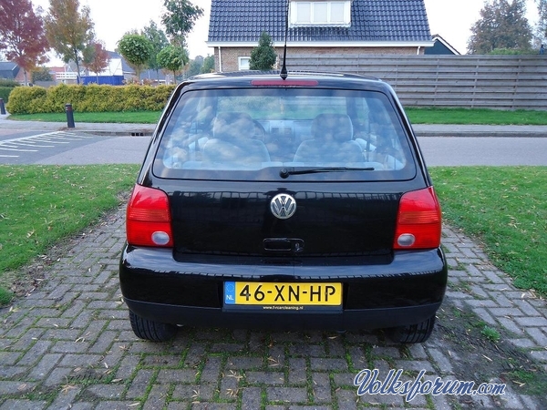 lupo