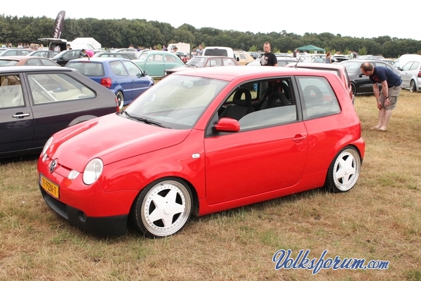 Volksdub 2013