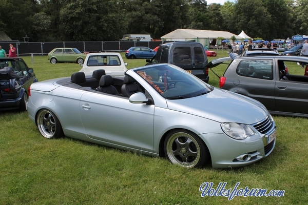 Volksdub 2014